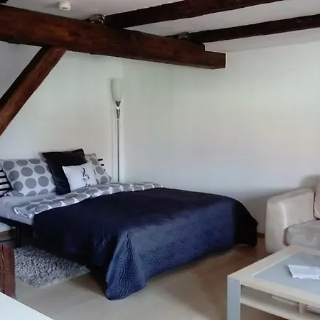 Apartamento Apartment Regensburg Ratisbona